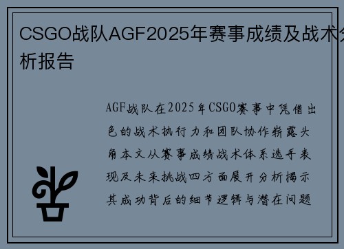 CSGO战队AGF2025年赛事成绩及战术分析报告